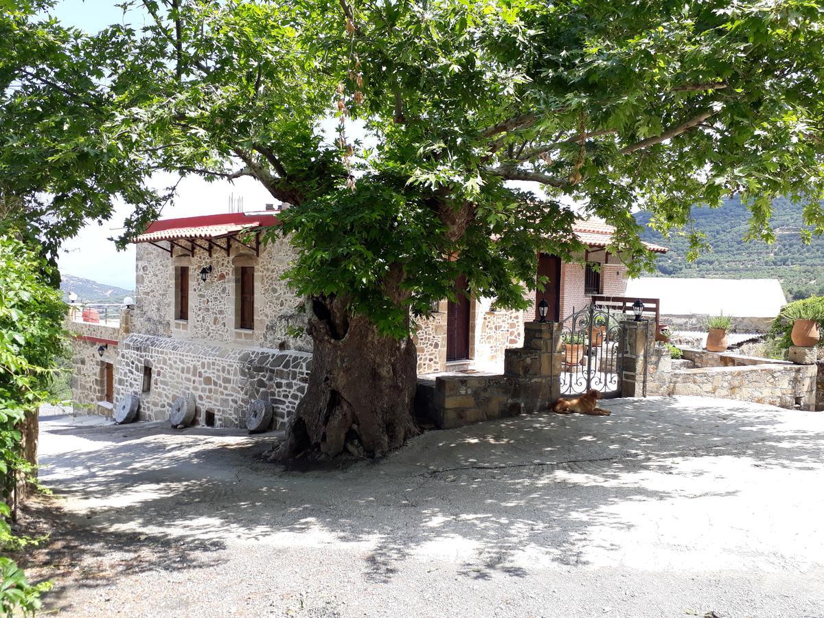Traditional House Koukounara Kíssamos Exterior foto